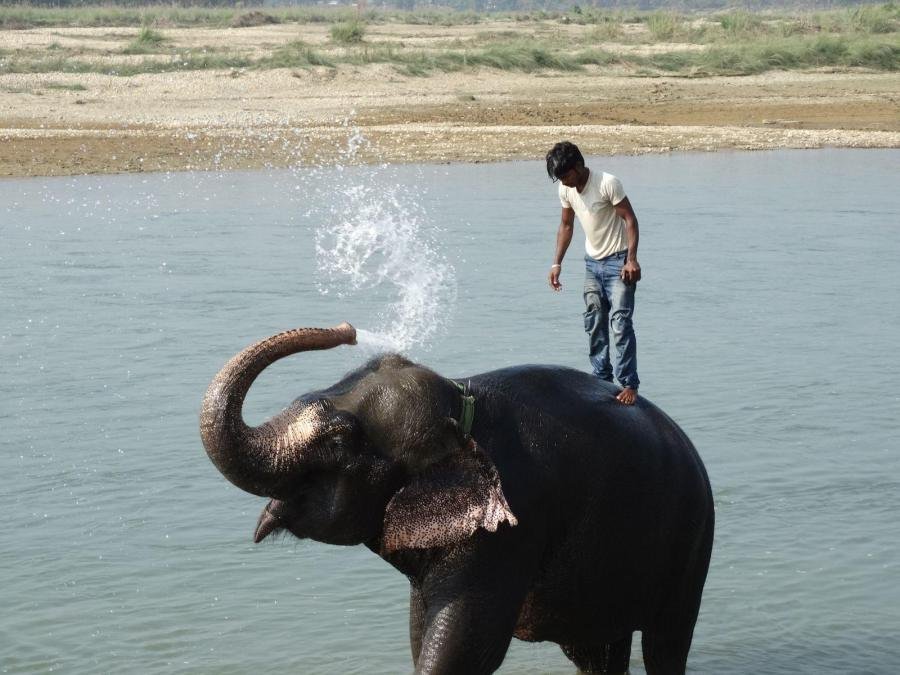 Chitwan National Park, Nepal