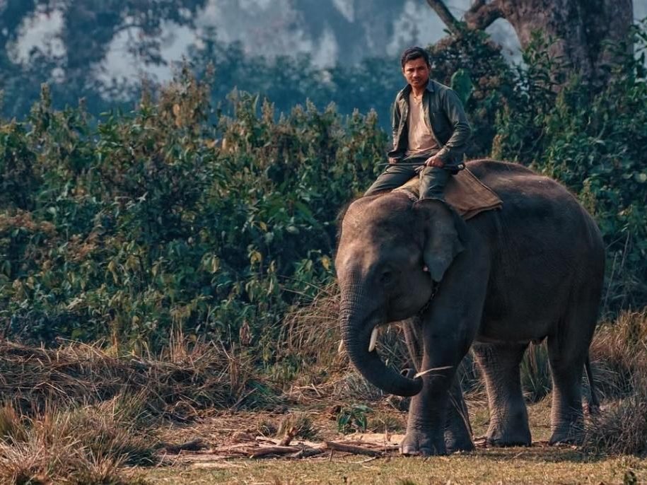 Travel photo from Nepal
